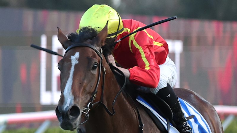 94726edcfca9931ff9de0028c0aab0b196aaac73