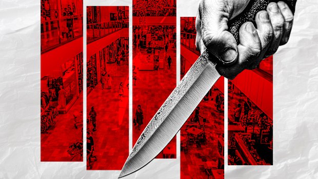 Police wanding data reveals the south-east Queensland shops and transport hubs where most weapons are found. 