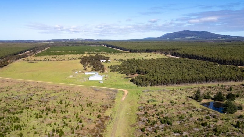 The fight for the family farm is now splitting heirs