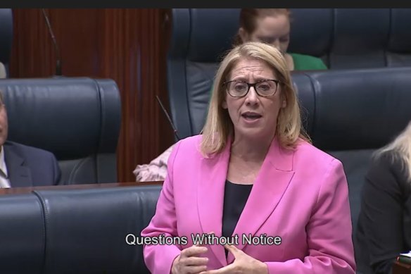 Transport Minister Rita Saffioti in parliament today. 