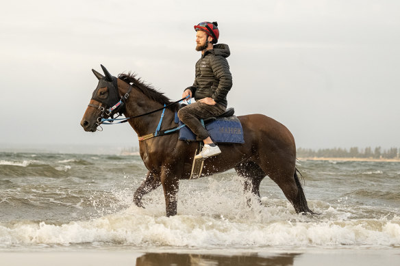 Maher’s Steel City is a live chance in Saturday’s Golden Slipper.