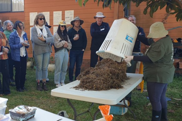 A mushroom growing workshop during Fungi Feastival.