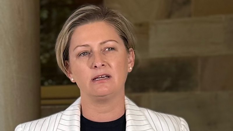 Minister stands ground on slow DV reform a day after another alleged murder