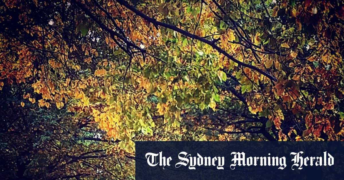 Force of nature: Why a walk in the park can do you the world of good - Vimarsana News