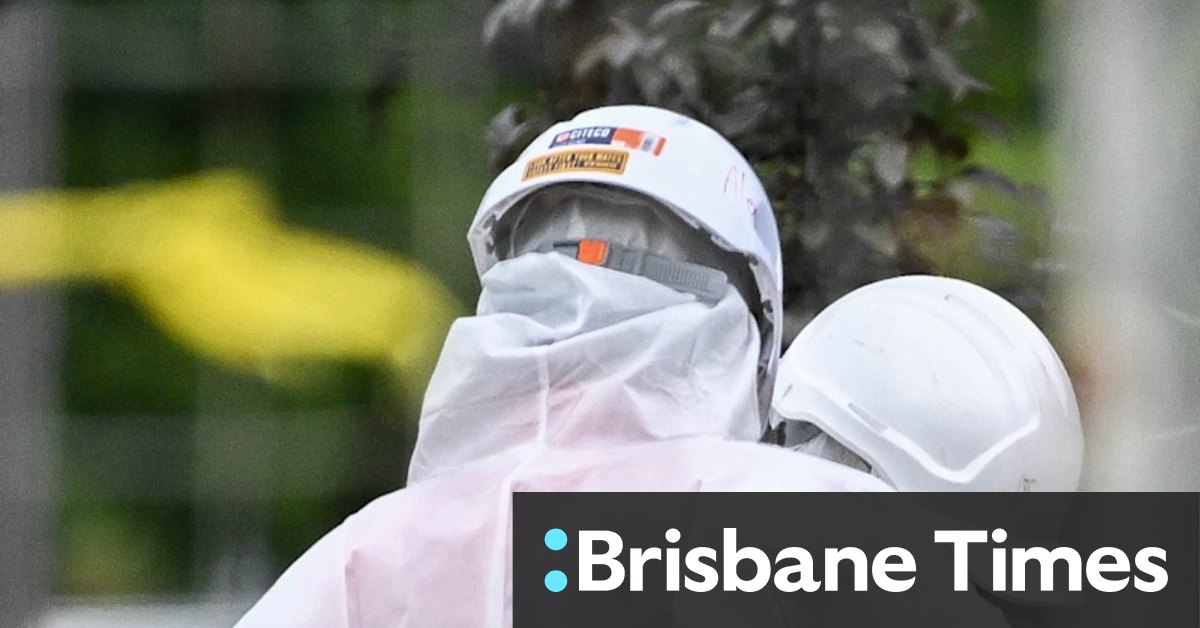 Asbestos and mulch: the state of play in Melbourne parks - Vimarsana News