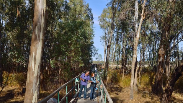 Is the fight over forestry versus conservation and tourism in Murray Valley National Park about to resume?