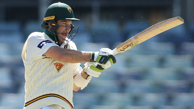 Tim Paine scored a century for Tasmania in the Sheffield Shield, his third at first-class level.
