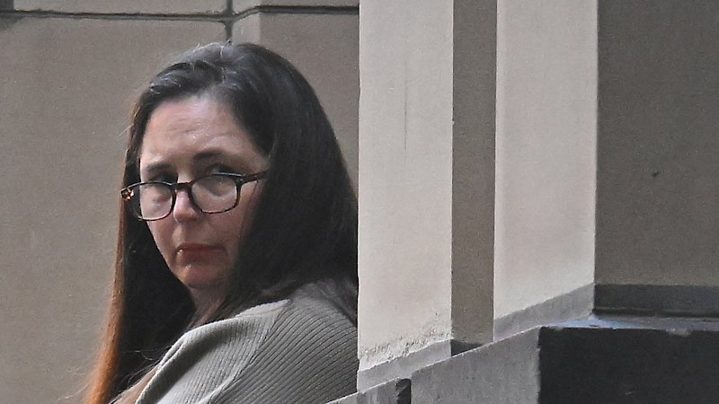 The seven reasons mushroom murderer Erin Patterson wants her convictions quashed