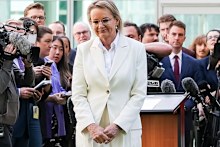 Sussan Ley leaves press conference after announcing intention to resign from parliament