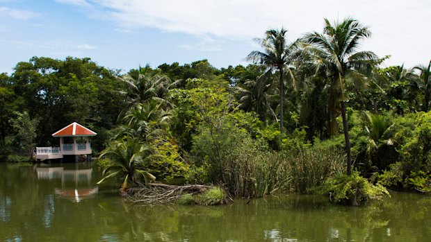 A jungle island oasis in the heart of Bangkok.
