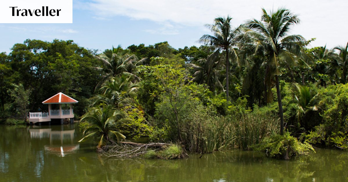 I’d been to Bangkok a dozen times before I discovered this highlight