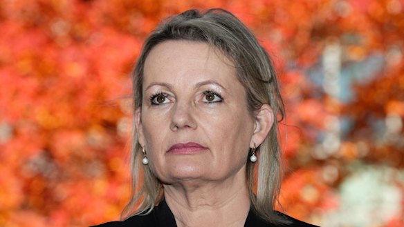 Liberal MP Sussan Ley has called for a quota in NSW.
