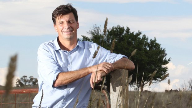 The brother of Liberal MP Angus Taylor is being investigated by the department he oversees.