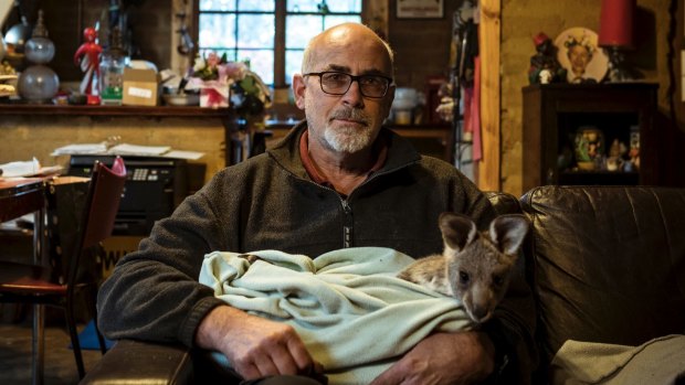 Manfred Zabinskas with the Kangaroo joey - Jess - who he cares for at his sanctuary after its rescue. 