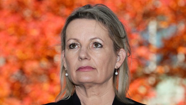 Liberal MP Sussan Ley has called for a quota in NSW.