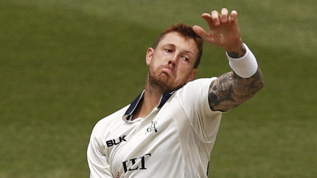 All-round option: James Pattinson is getting close to top pace.
