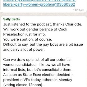 Leaked messages from Liberal women’s group chat Wedge and Pressure.