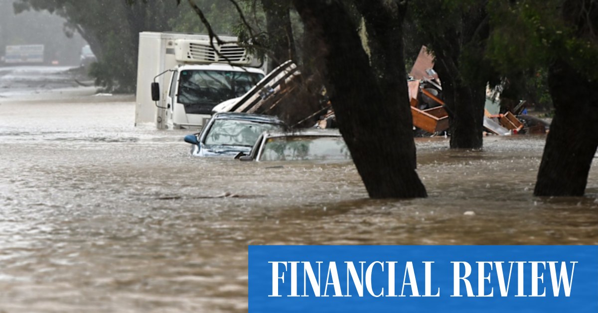 No more homes in flood zones: Clean, dry Lismore ‘open for business’