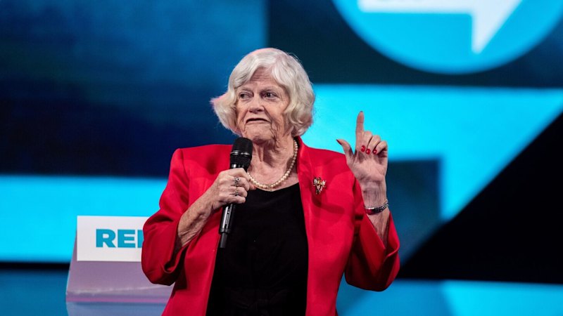 Asesinato de Ann Widdecombe: Sospechoso acusado de conducir casi 480 km hasta su casa ‘con un poste de madera’