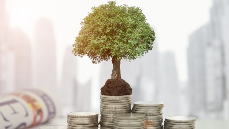 Cash Flow Strategies For Retirees As Interest Rates Plunge - 