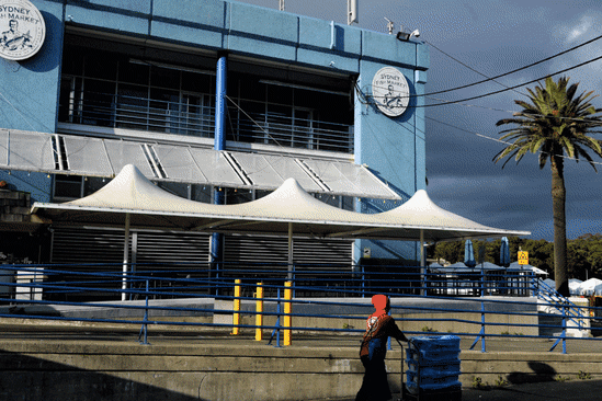 The redevelopment of the Sydney Fish Market has been fraught.