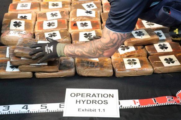 NZ Customs say the cocaine seized as part of Operation Hydros has a street value of more than half a billion dollars. 