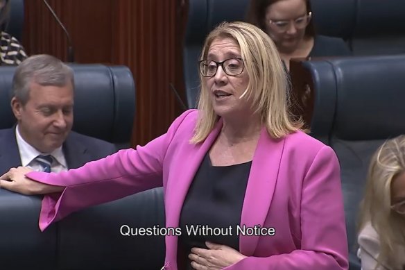 Treasurer Rita Saffioti in Parliament today. 