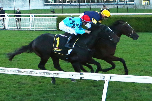 Pierata (left) fell by the slimmest of margins to Tofane in the All Aged Stakes at Randwick, costing connections a cool $1 million.