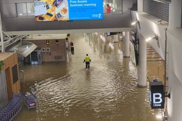 Auckland airport is expected to reopen on Saturday afternoon.