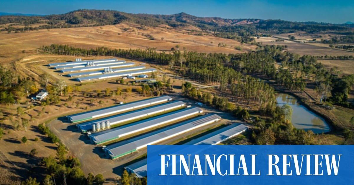 Ex-Rich Listers Michael Gordon and Jim Goldburg sell Qld poultry farm - Vimarsana News