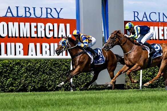 Racing returns to Albury on Tuesday.
