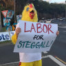 A new superhero in Warringah. But who is Chicken Man working for?
