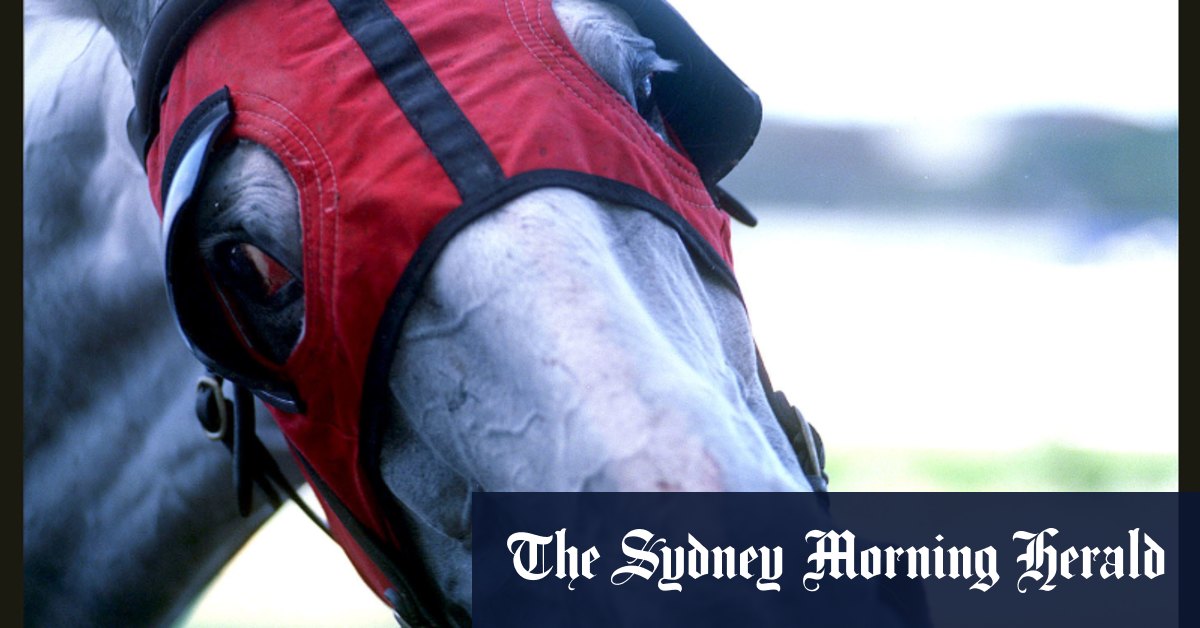 Race-by-race preview and tips for Sunday meeting at Grafton