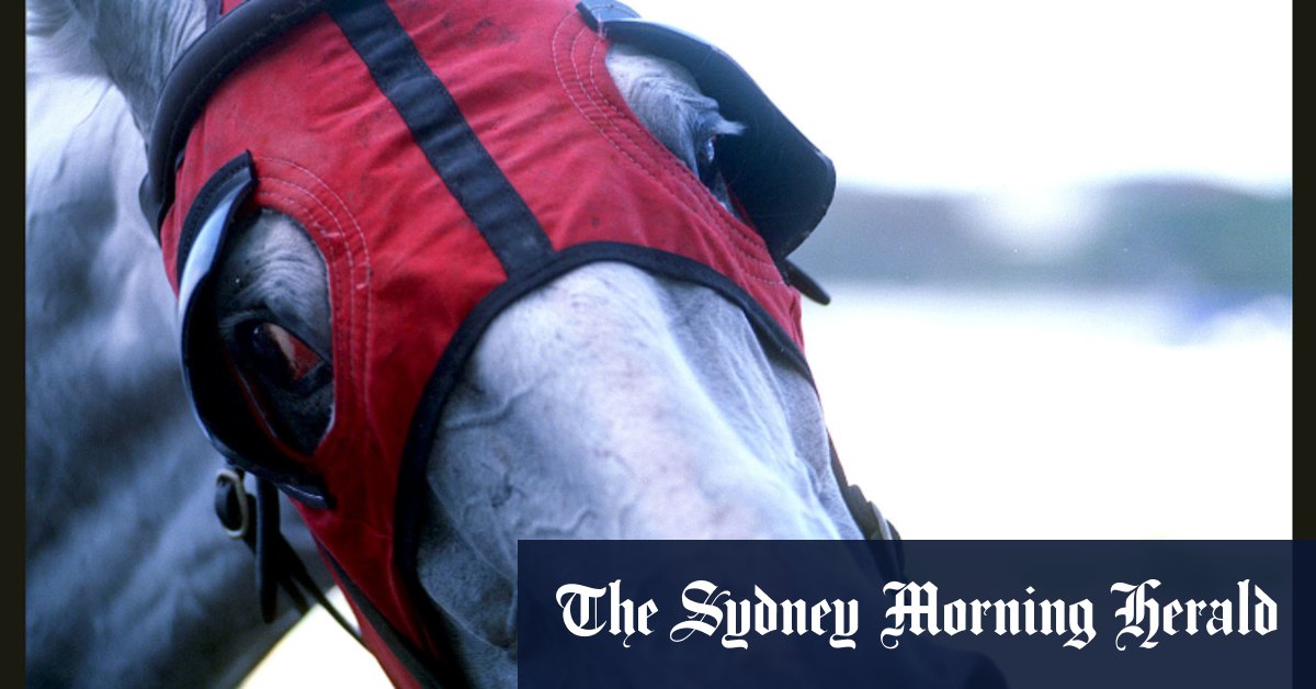 Race-by-race preview and tips for Scone meeting on Monday