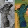 Footprints show two human species crossed paths 1.5 million years ago