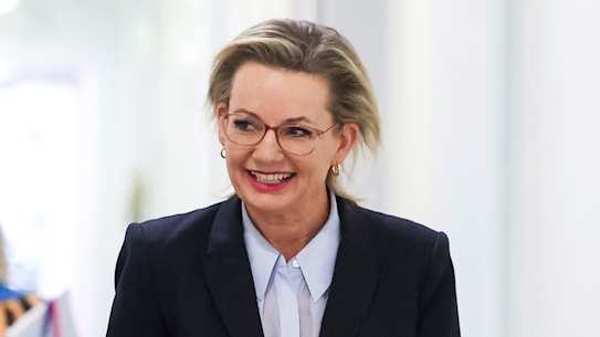 Sussan Ley arriving at Wednesday’s party room meeting.