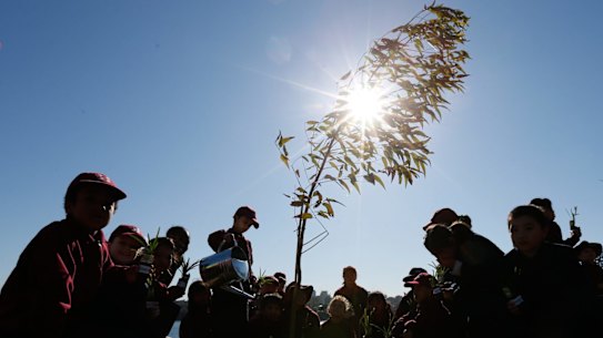 Labor says the government's environment grants program is designed to favour voters in Coalition seats. 