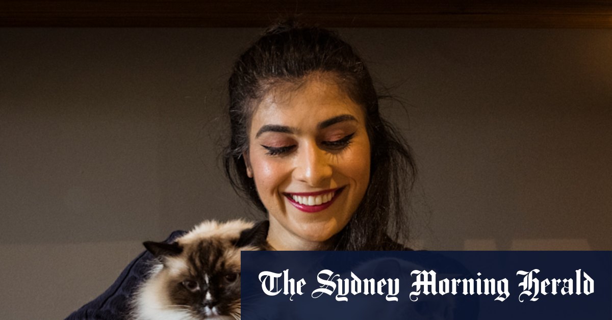 Win for cat owner over Merri-bek Council after 'robo-debt for pets' court hearing - Vimarsana News