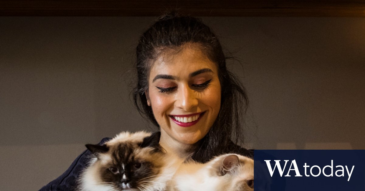 Win for cat owner over Merri-bek Council after 'robo-debt for pets' court hearing - Vimarsana News