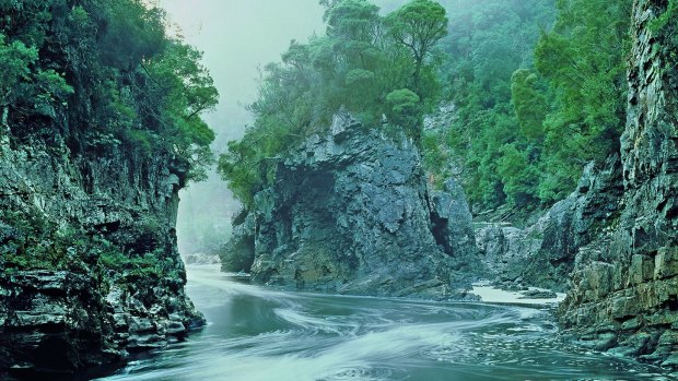 The image that helped save a river: 'Morning Mist' at Rock Island Bend on the Franklin River in Tasmania.