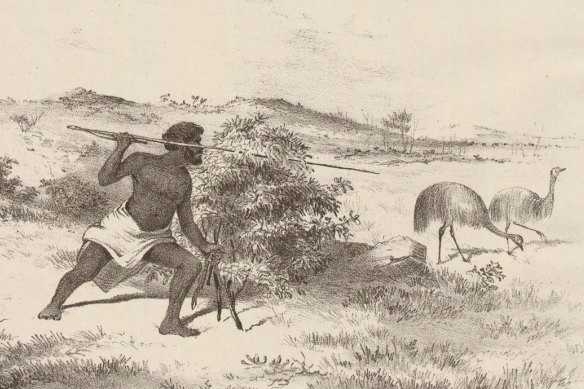 A 19th-century depiction of an Indigenous man hunting emus. 