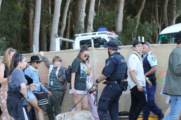 A police sniffer dog checks revellers at a music festival.