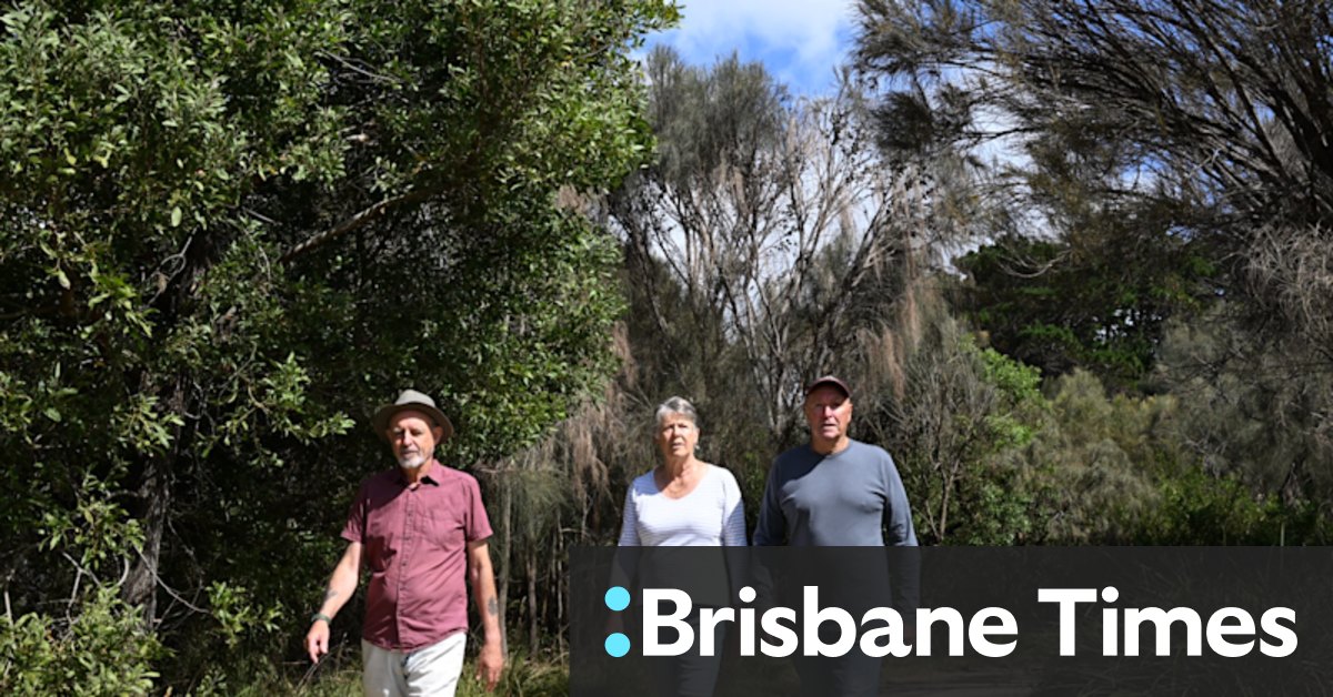 Corinella a town divided by plan to clear foreshore vegetation - Vimarsana News