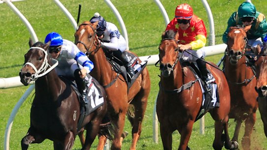 Construct in the red silks finds a gap to chase home Shaquero in the Breeders Plate.