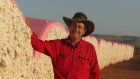 Kimberley Agricultural Investment general manager Jim Engelke.