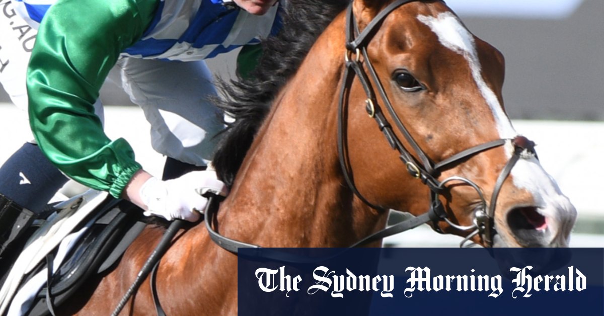 Horse death and track safety concerns cast shadow over Warrnambool