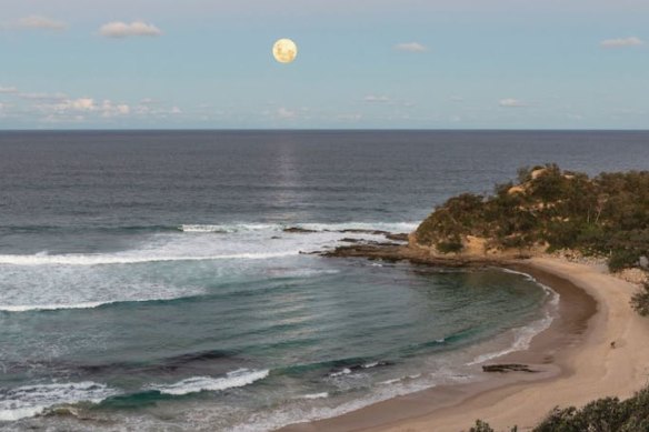 Shelly Beach at Nambucca Heads.