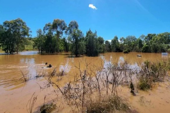 The 76-year-old man was found in his submerged vehicle at Paddy Gully Creek.