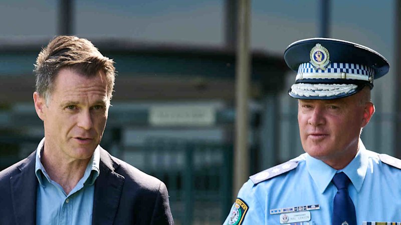 NSW to reintroduce protest laws amid fallout from neo-Nazi rally