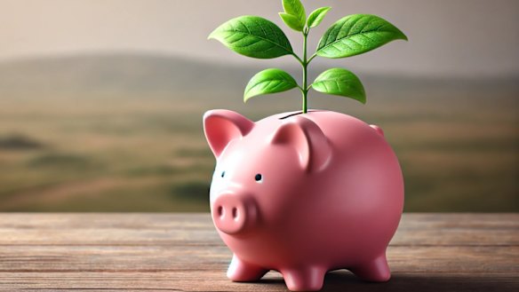 Kids and Plus portfolios delivered hefty gains of 26.3% and 22.4%, respectively, comfortably outrunning a 4.7% lift in customers for the 3rd quarter.